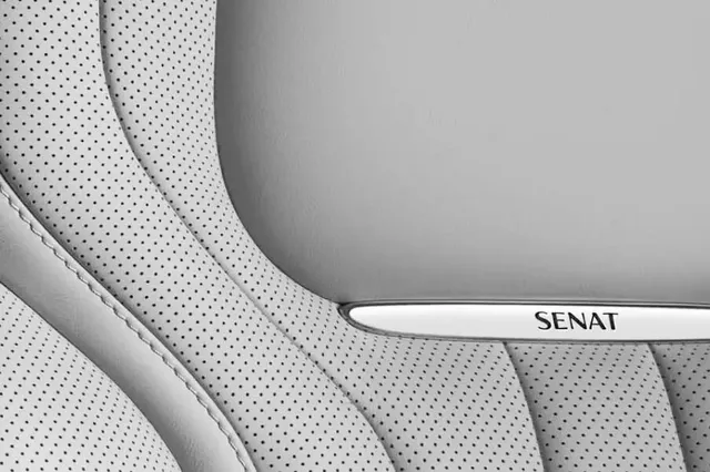 Aurus Senat — фото 3 из 6