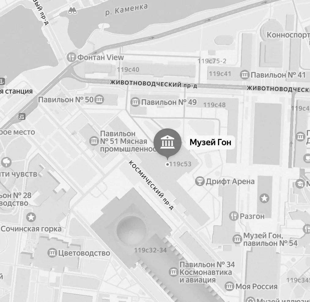 Карта: Проспект Мира, 119с53, Москва